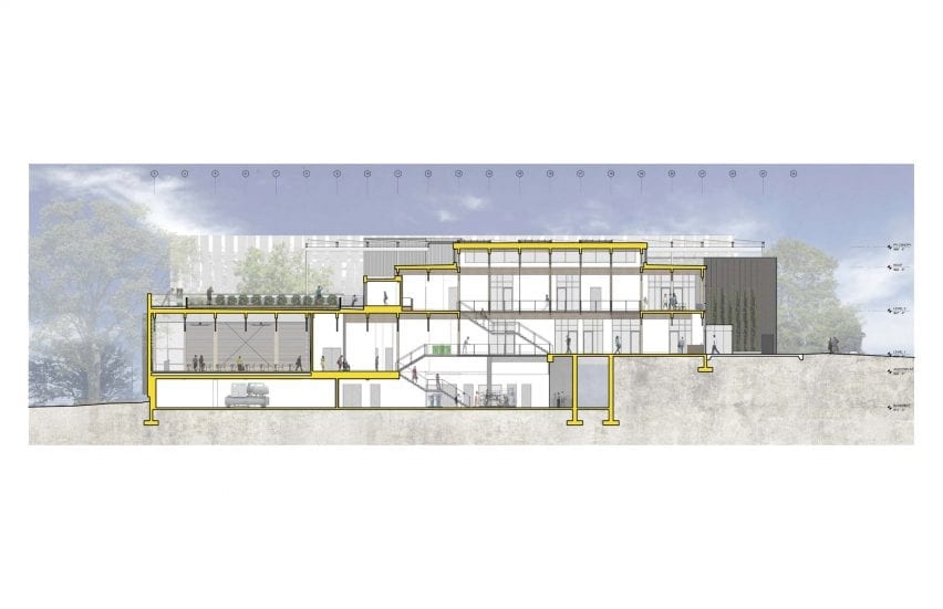 Elevation