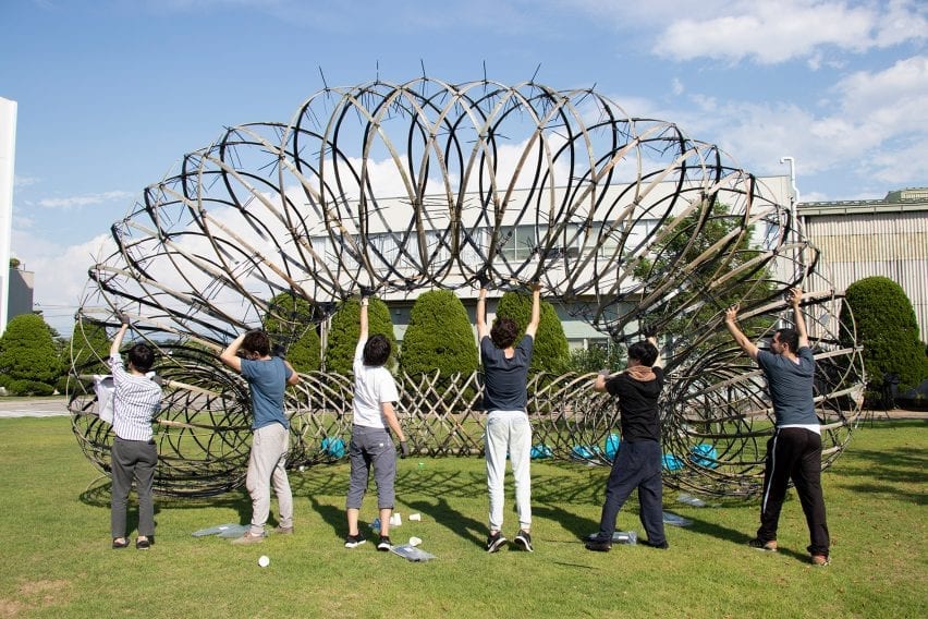 Kuma Lab with Bamboo Ring