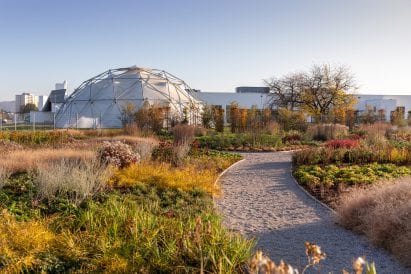 The Oudolf Garten has a variety of plants