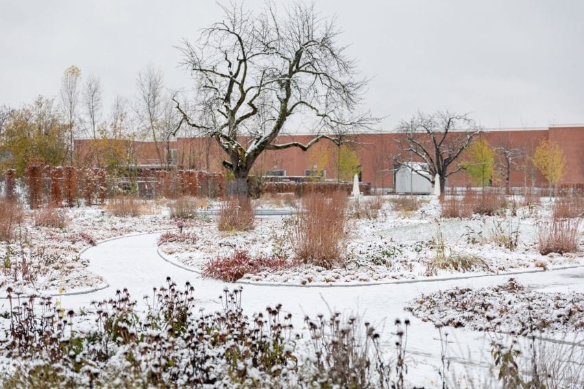 plants are bare and trees are leafless