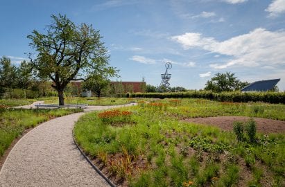 Gravel pathways intersect the gardens