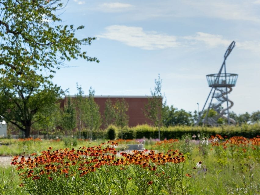 colourful flowers were placed alongside grasses