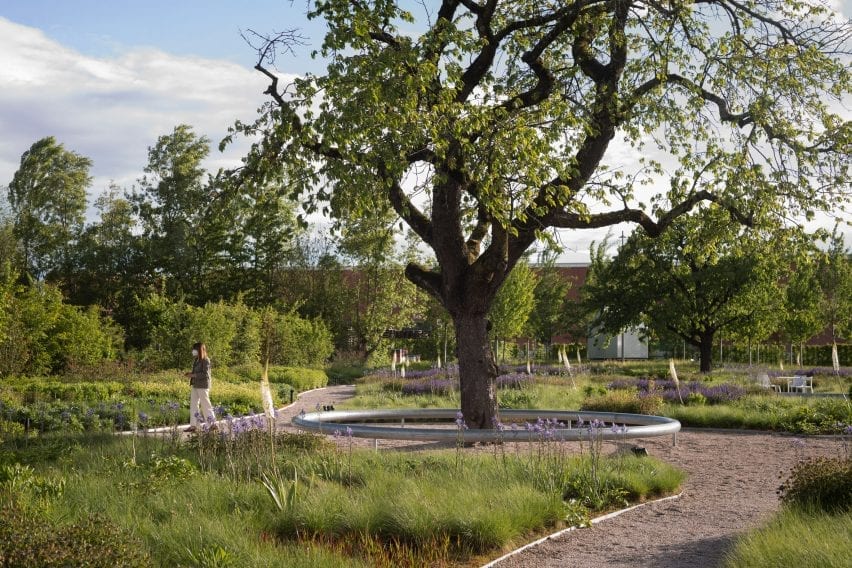 a steel bench wraps around a tree