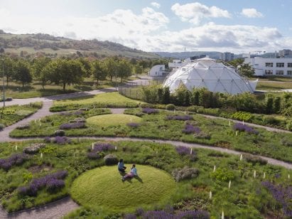 Purples and greens cover the landscaped areas at The Oudolf Garten