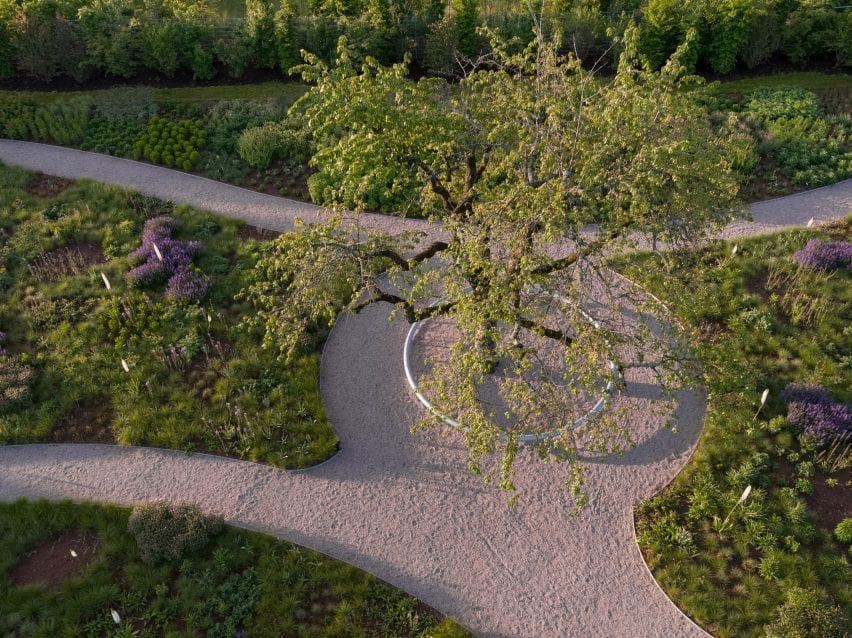 pathways lead to the bench and cherry tree