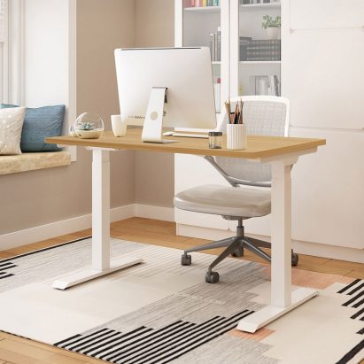 Flexispot standing desk