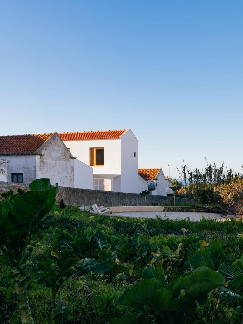 Puppeteers House by REDO Architects