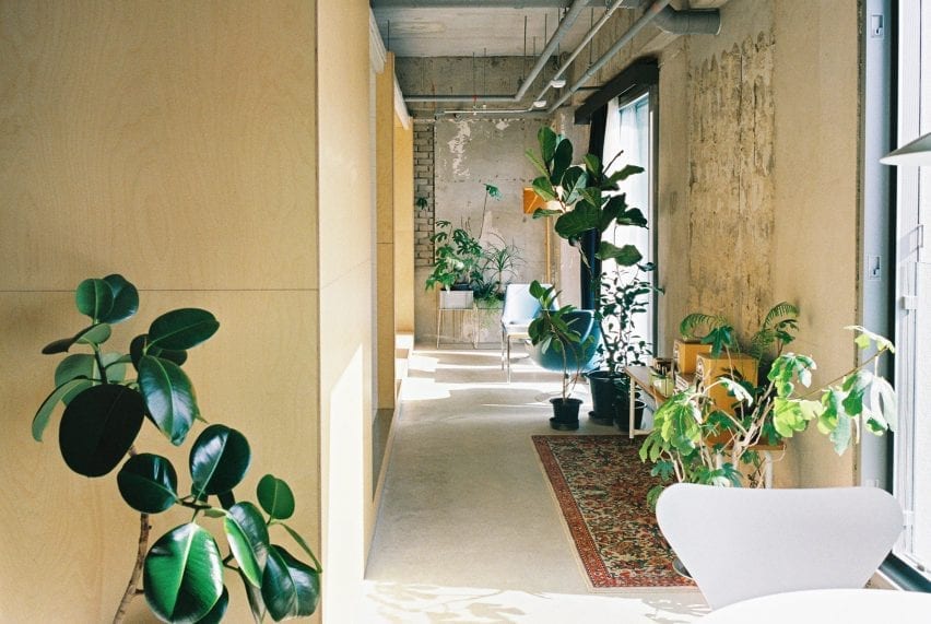 Plants and rugs fill the corridors