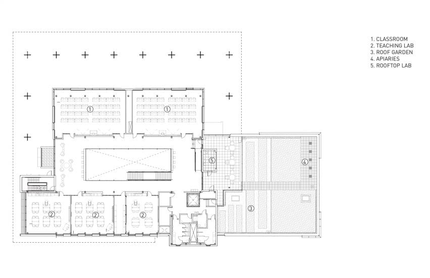 Upper level