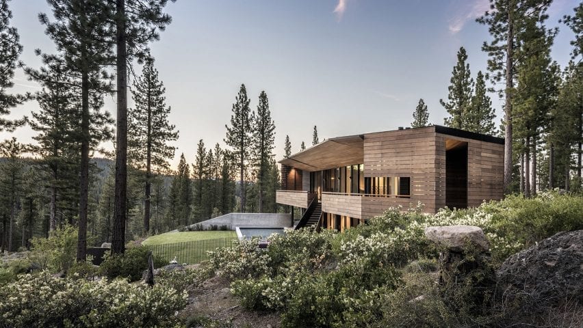 Viewfinder House among the trees