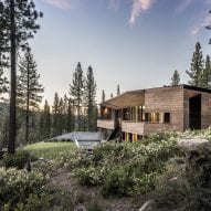 Viewfinder House among the trees