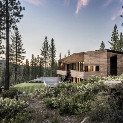 Viewfinder House among the trees