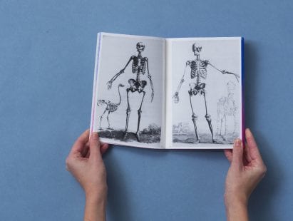 Two anatomical skeletons by scientist John Barclay