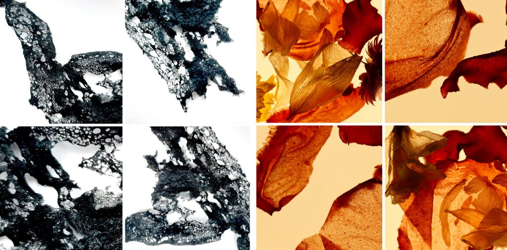 Birmingham City University spotlights 12 creative partnership projects