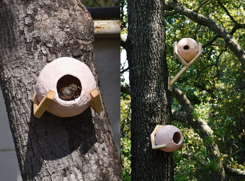 Hombre pájaro (Bird Man)