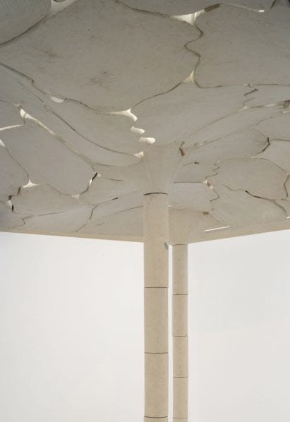Limestone ceiling and pillar