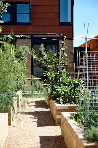 Paths lead between planters