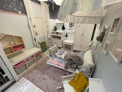 A model child's bedroom