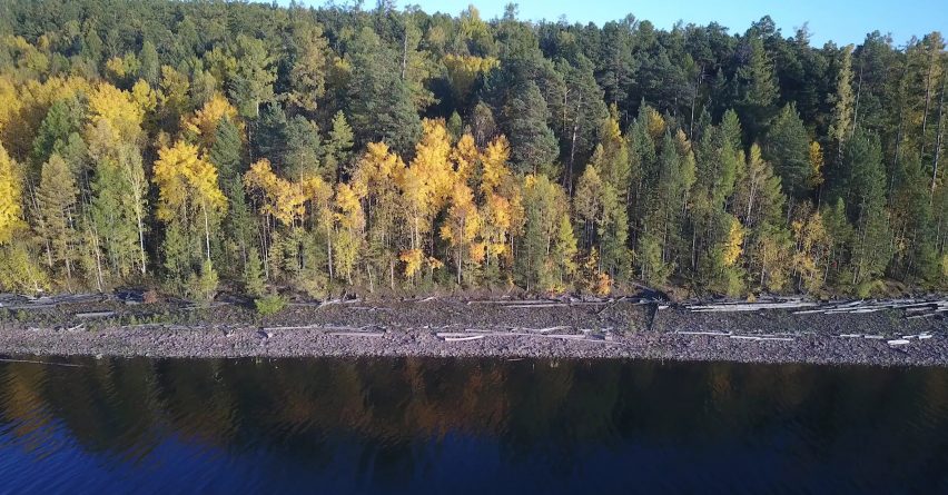 forest in Siberian Russia