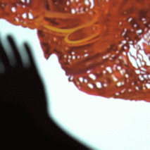 Gif of the installation
