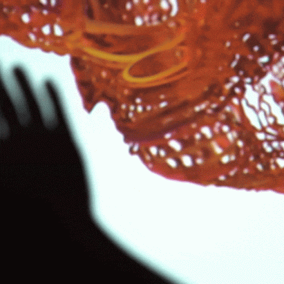 Gif of the installation