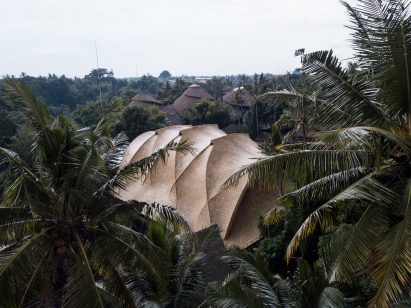 Ibuku built the structure within a forest