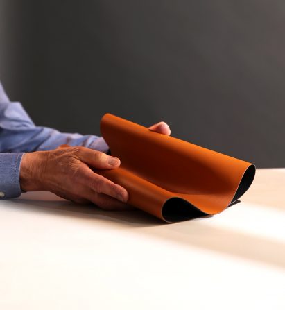 Hand holding Leap apple leather
