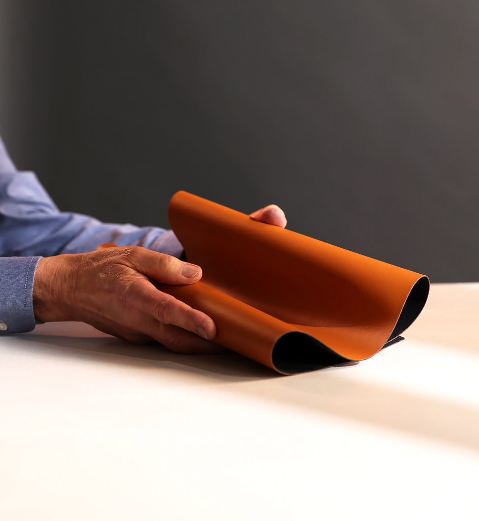 Hand holding Leap apple leather