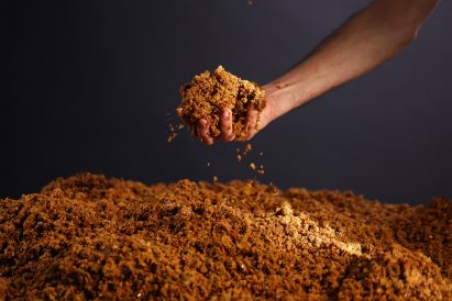 Hand holding apple waste slurry