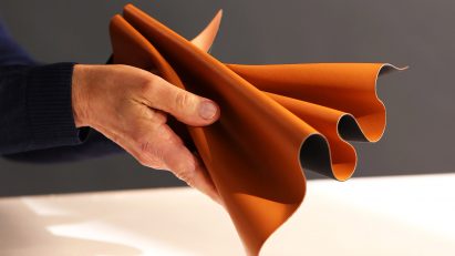 Hand holding Leap apple leather