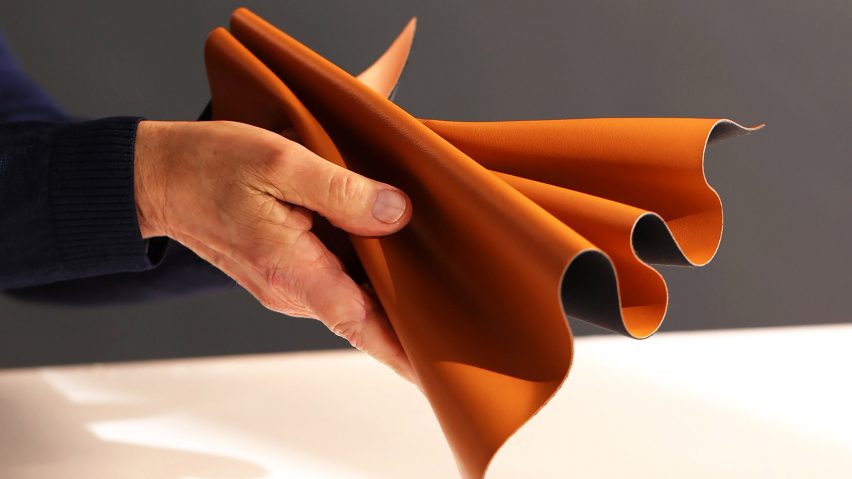 Hand holding Leap apple leather