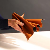Hand holding Leap apple leather