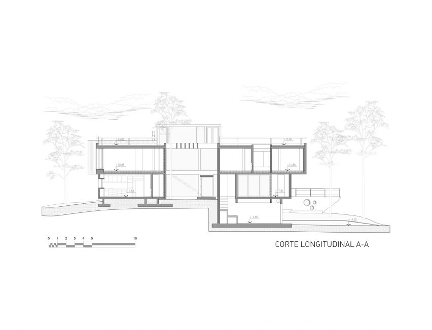 Longitudinal view