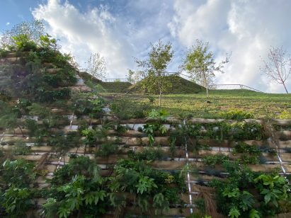 Planting on the fake hill in central London