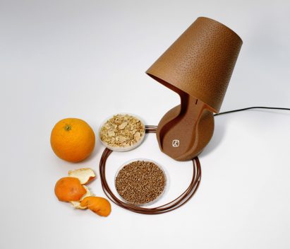ohmie lamp made from orange peel