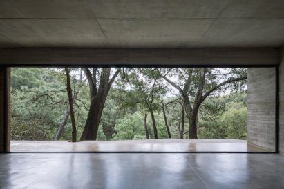 A large rectangular window frames trees