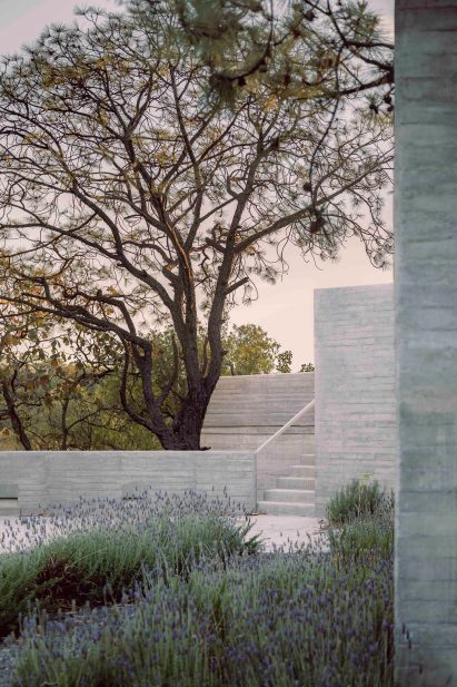 plants were placed across the terraces at Casa Amapa