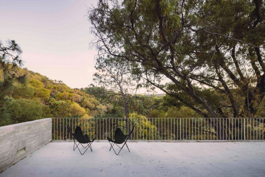Terraces overlook the forest