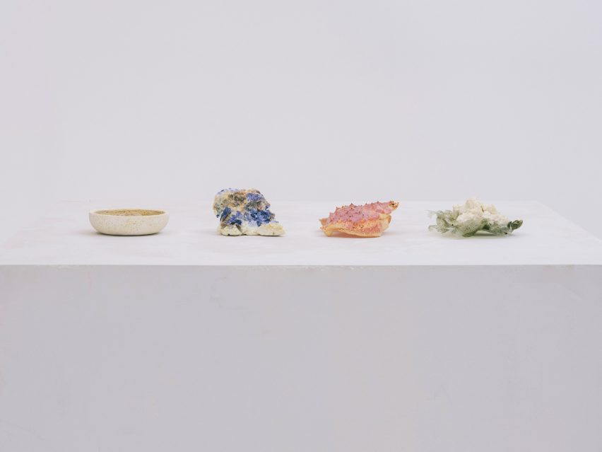 Ceramics made from seashell