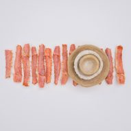 Seafood shell ceramics