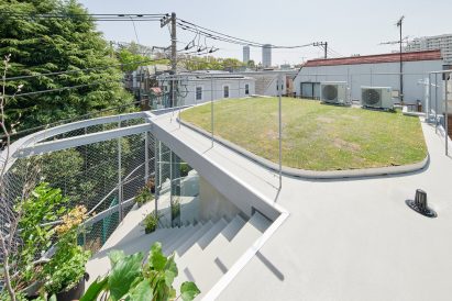 A residential roof garden