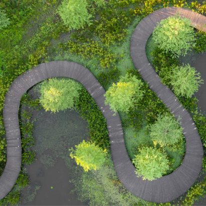 A Wondrous Return: Houston Arboretum and Nature Center by Design Workshop