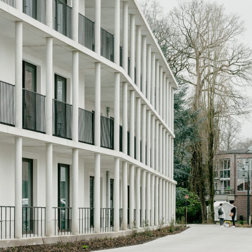 De Korenbloem