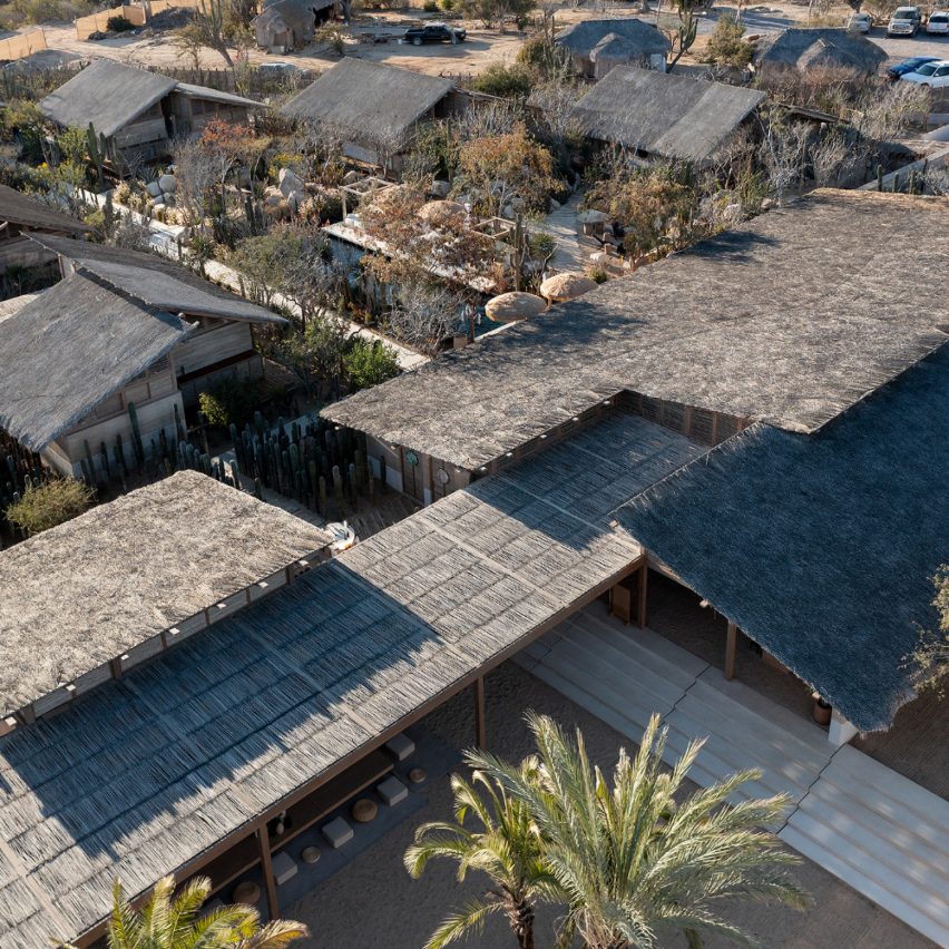 El Perdido
