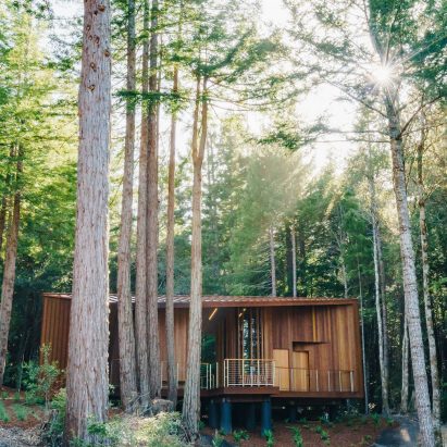 Better Place Forests Visitors Center by OpenScope Studio
