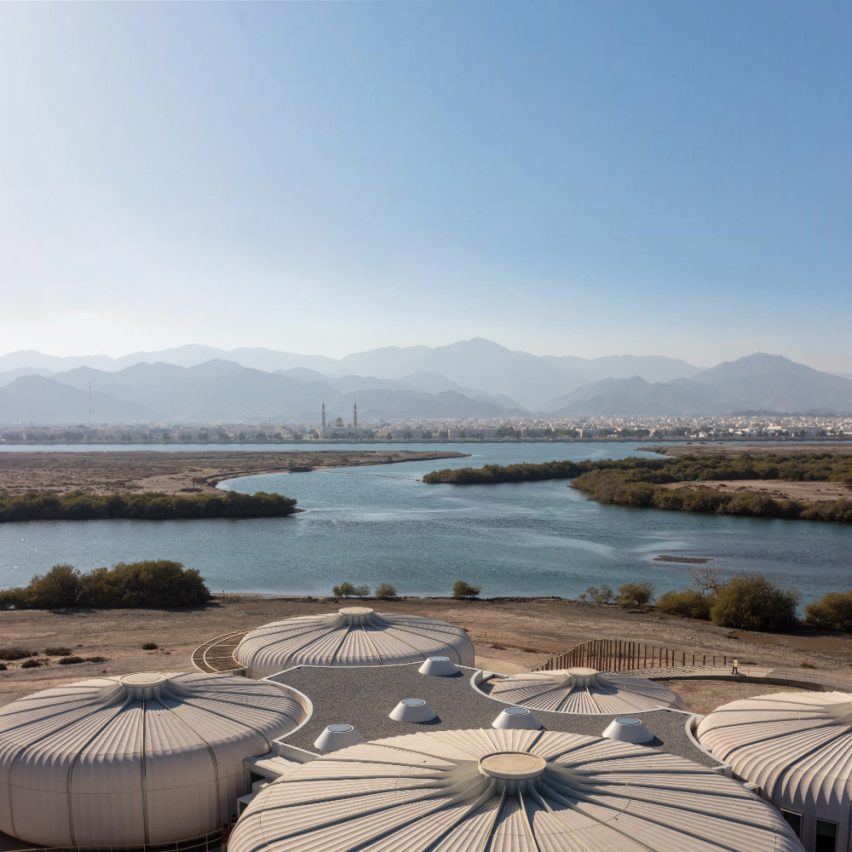 Khor Kalba Turtle and Wildlife Sanctuary