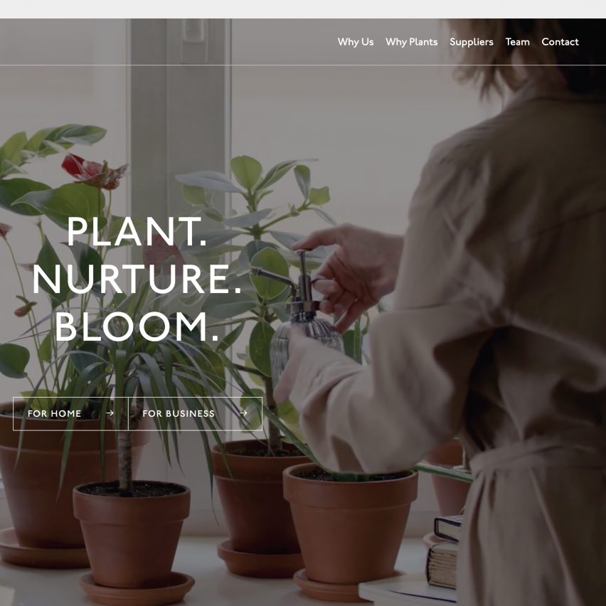 Plant Designs