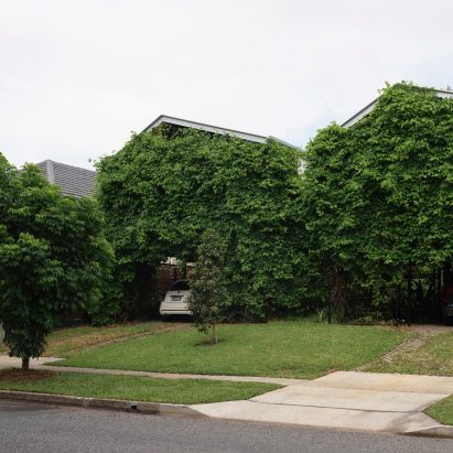 Twin Houses by John Ellway Architect
