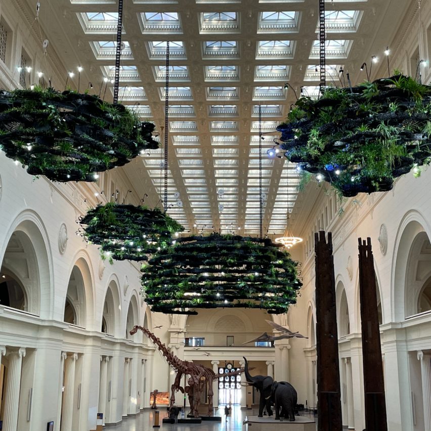 Hanging Gardens at The Field Museum