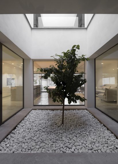 Tree in courtyard